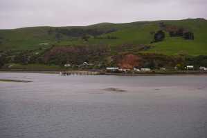 HARINGTON-POINT-DUNEDIN (9)